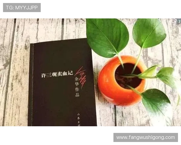 血流成河余华：结合现实案例解读小说中血腥场景对社会伦理的启示