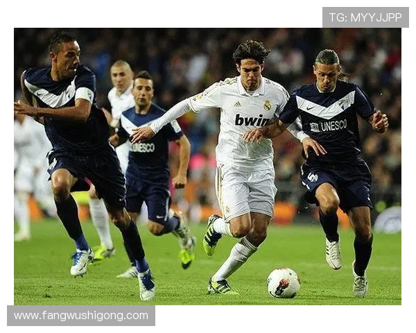 利用K8体育网论坛提升你的体育知识储备，掌握最新赛事资讯与专业分析技巧